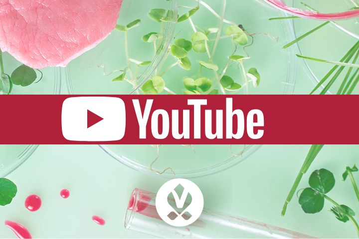 YouTube Kanal @swissvegan