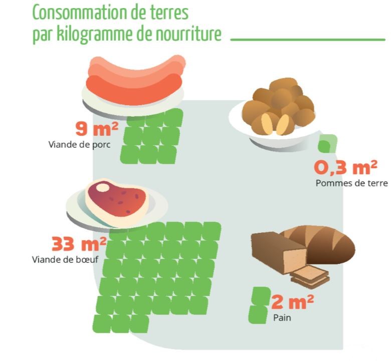 Consommation de terres par kilogramme de nourriture