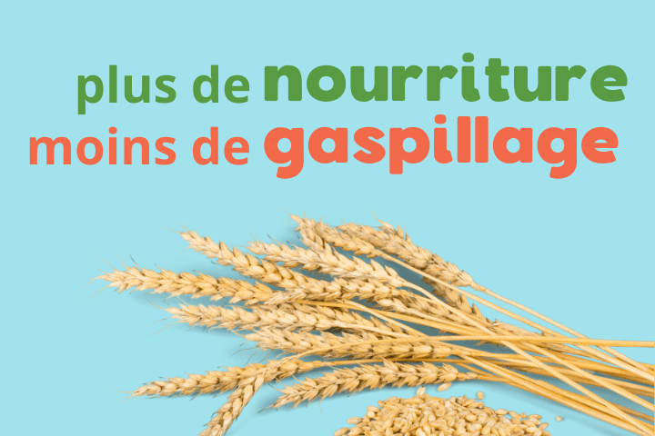 Gaspillage alimentaire (2024)