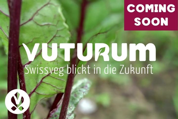 VUTURUM 2025