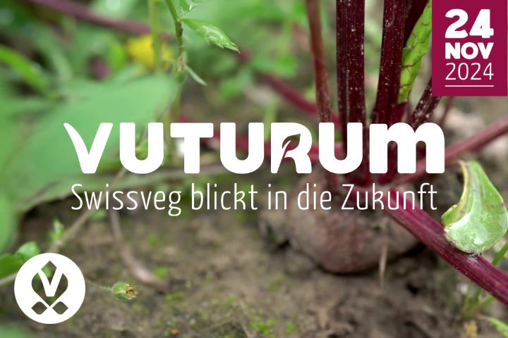 VUTURUM 2024